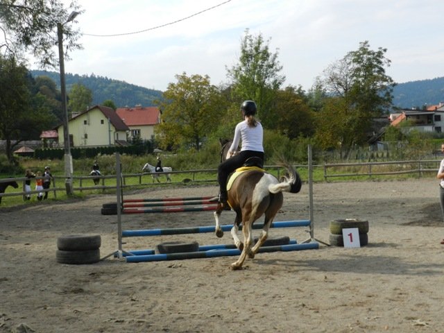 Babie Lato 2016